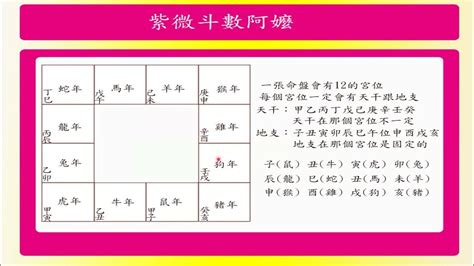 命盤分數低|靈匣網的紫微斗數線上排盤系統